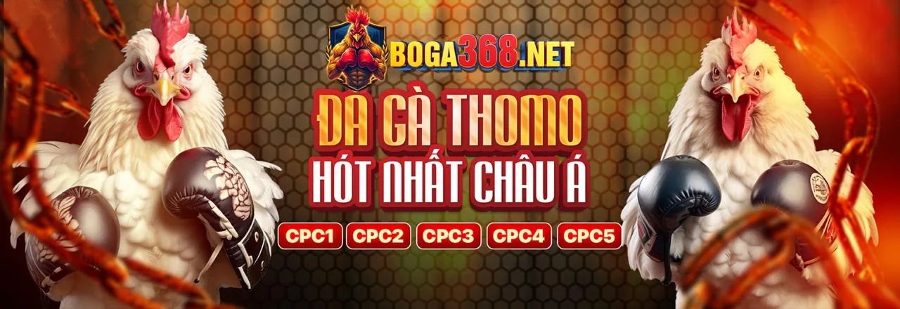 Nền tảng giải trí trực tuyến 789b1 với giao diện hiện đại, màu sắc chủ đạo đỏ cam